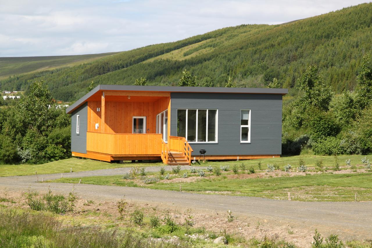 Kjarnagerdi Holiday home *